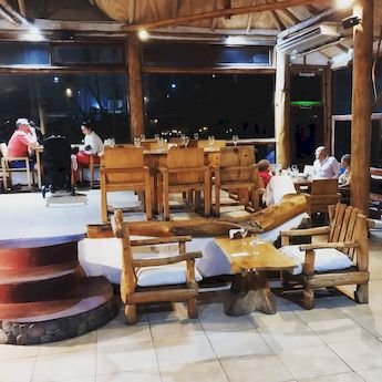 Palapa - Foto 2